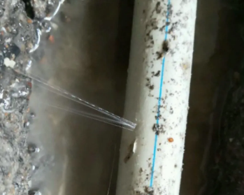 临淄卫生间测漏水多少钱