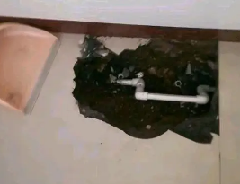 临淄卫生间测漏水多少钱